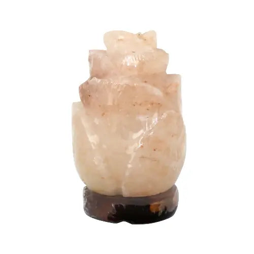 Himalayan Lamp Rose Salt Shape |