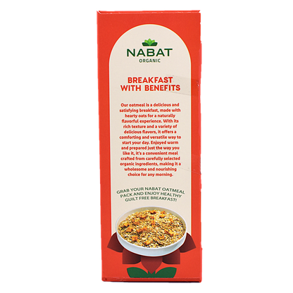 Organic Oat Meal Apple Cinnamon Gluten Free True Nature